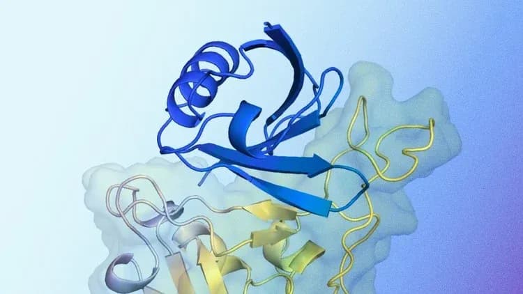 Computational Techniques for Protein 3D Structure Prediction thumbnail