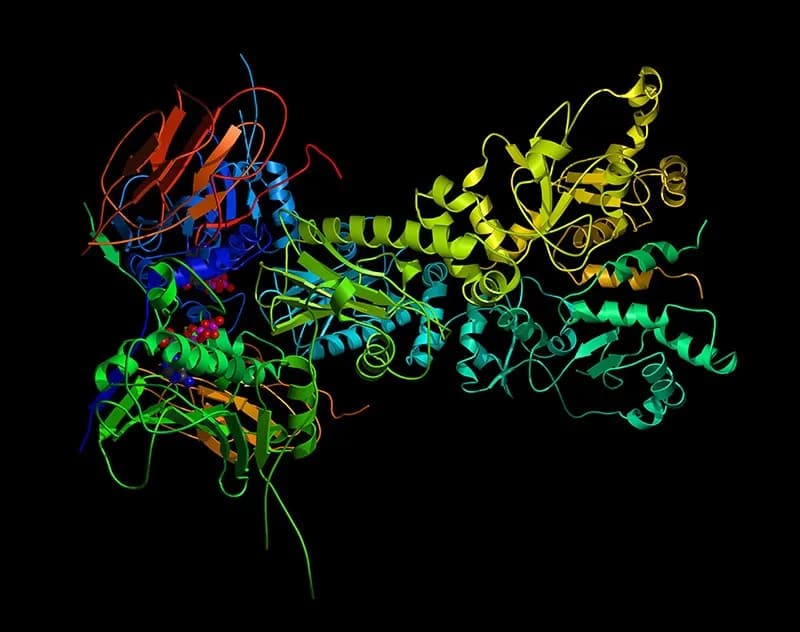 De-Novo Proteomics Data Analysis for Bioinformatics Research thumbnail